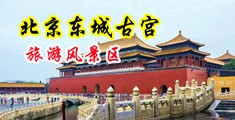逼痒想被操视频中国北京-东城古宫旅游风景区
